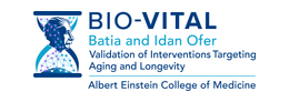 Einstein BIO-VITAL